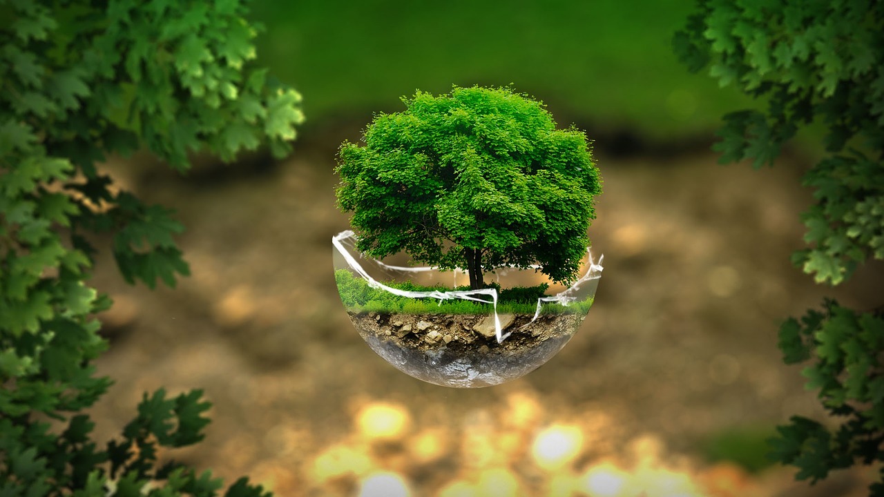 5 actions concrètes pour une entreprise plus éco-responsable